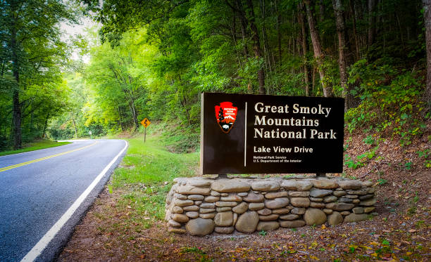 great smoky mountains national park lake view drive sinal perto de bryson city, carolina do norte, e.u.a. - great smoky mountains national park mountain mountain range north carolina - fotografias e filmes do acervo