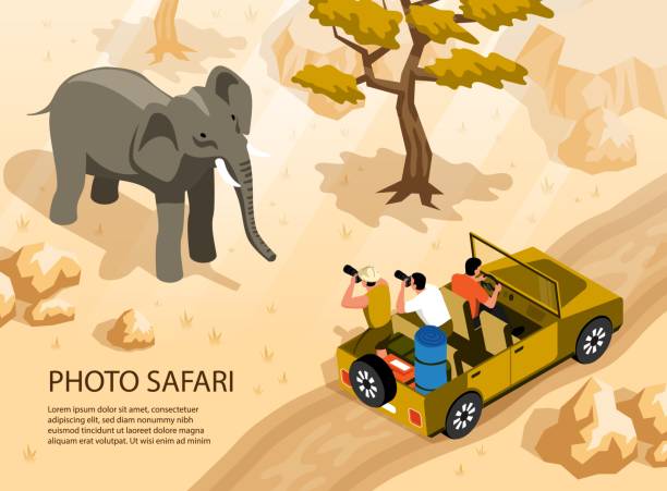 ilustrações de stock, clip art, desenhos animados e ícones de photo safari illustration - sign camera travel hiking