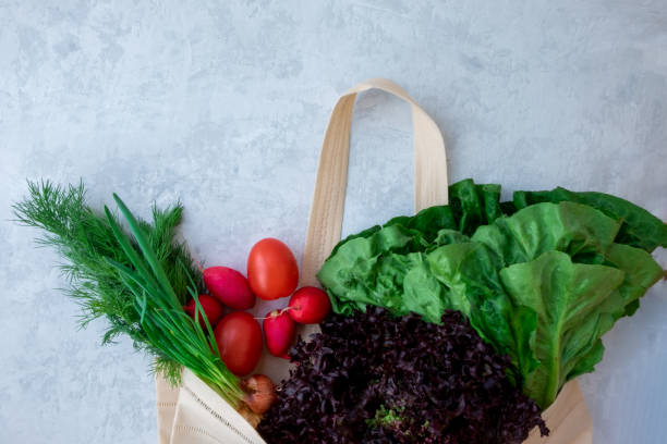 istock fresh vegetables tomato, beet, radish, cucumber, pepper on a gray background 1175307919