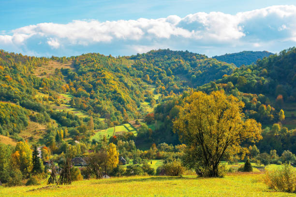 istock wonderful rural landscape in mountains 1175309178