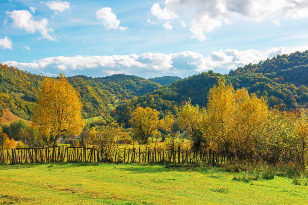 istock wonderful rural landscape in mountains 1175309179