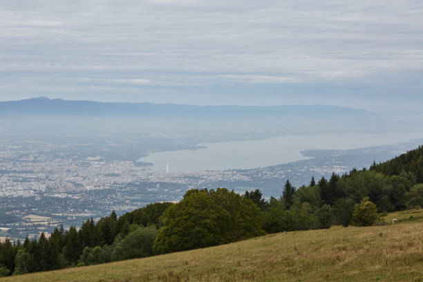 istock Geneva with lake view from top 1175311746