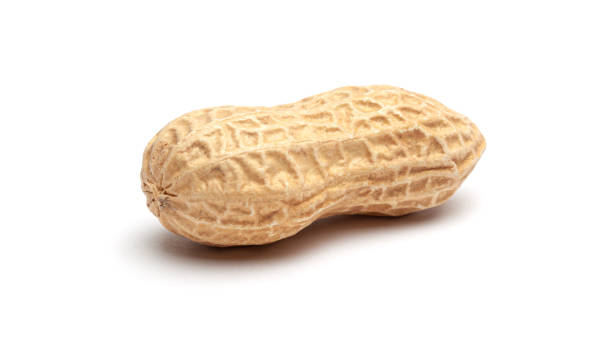 istock Dried peanuts in peel closeup isolated on white background 1175313674