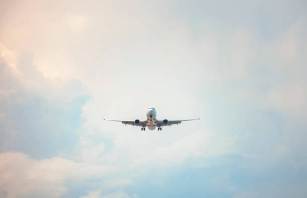 istock Passenger airplane landing or taking off. 1175314504