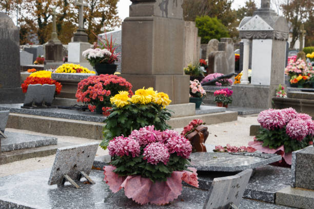 istock Chrysanthemum plants on tombstones 1175314925