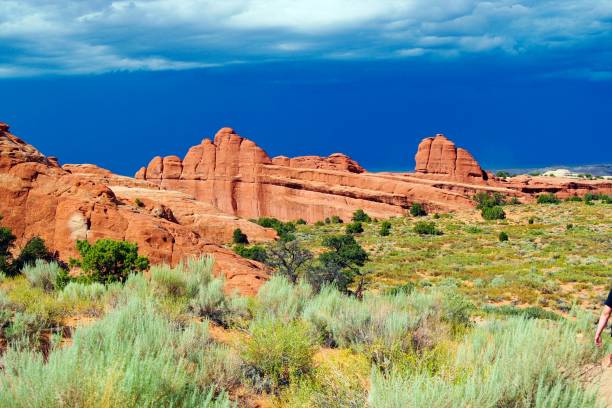 istock View over red sand with dry grass tufts on sandstone formation - Devils garden, Arches national park, Utah 1175315139