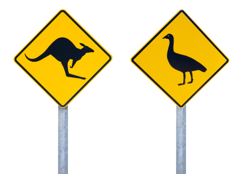 Cape Barren Goose and Kangaroo road sign isolated on white background