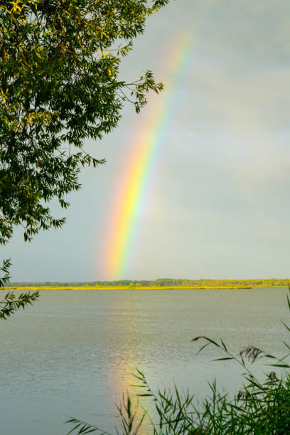 a colorful rainbow over the lake during a summer storm