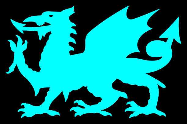 ilustrações de stock, clip art, desenhos animados e ícones de welsh silhouette dragon vector illustration - welsh culture wales welsh flag dragon