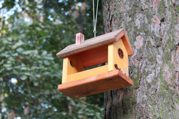 istock wooden bird feeder in Park 1175323125