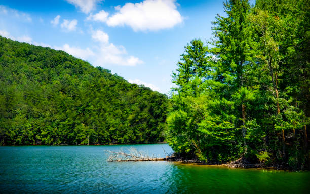 Mountain Lake in the Appalachian Mountains - Lake Santeetlah in the Joyce Kilmer Memorial Forest - Nantahala National Forest, North Carolina - summer