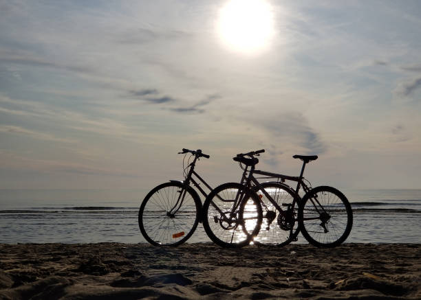 istock Silhouettes two bicycles parked in the sand beach on a bright sunny summer day 1175326025