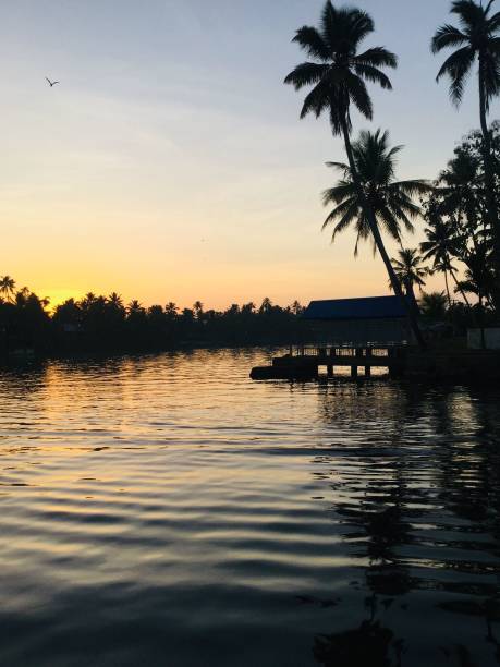 sunrise at allepey backwaters kerala tourismus - allepey stock-fotos und bilder