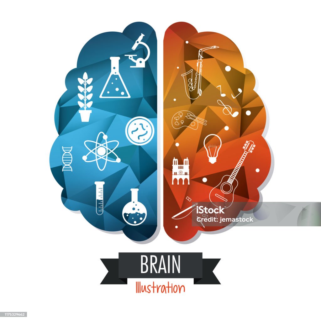 Brain Science Design Brain Design Mind Concept White Background Editable Vector Stock ...