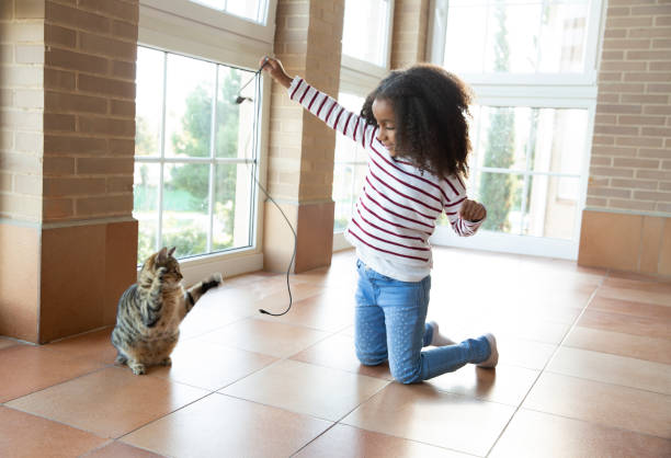 niña jugando con el gato sosteniendo el cable - domestic cat child little girls kitten fotografías e imágenes de stock