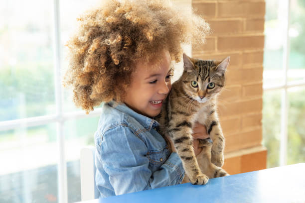 ethnic kid girl playing with cat - cute kitten animal young animal imagens e fotografias de stock