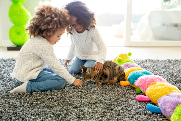 Ethnic kid girl playing with cat at living room carpet