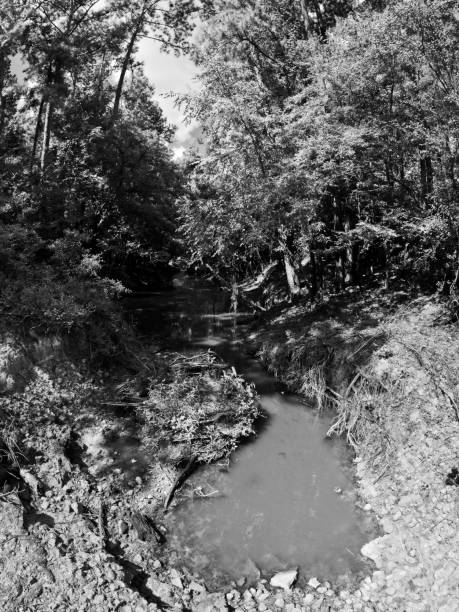 istock Creek Drying Up with No Flow B&W 1175335195