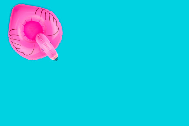 Flamingo isolated. Inflatable ring toy isolated on blue background. Summer pool.