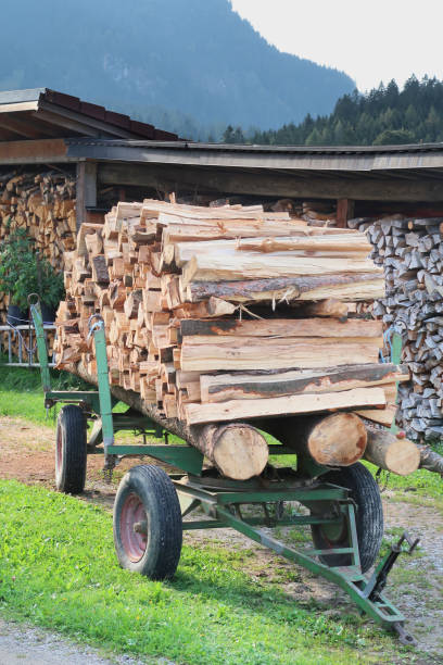 istock Firewood Trailer Wagon Stacked Cut Logs 1175340702
