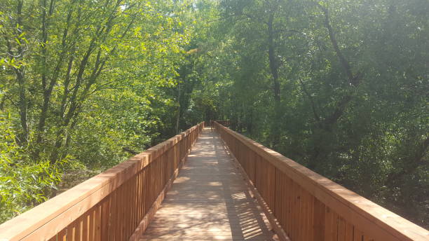 istock Port Anse Ecological Park Bridge (photo18) 1175345869