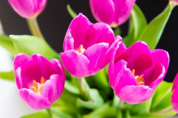 istock Purple tulips bouquet 1175348192