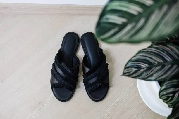 Photo of Woman's black elegant sandals minimalism concept