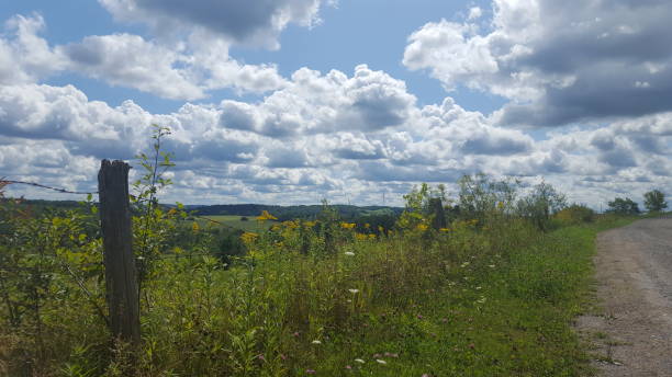 istock Landscape of the St. Francis River Valley (Photo24) 1175349231