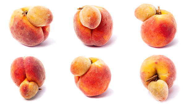 Ugly peach set Peach fruits isolated on white background. Misshapen produce, food waste problem concept. deformed stock pictures, royalty-free photos & images