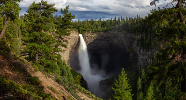 istock Wells Gray Provincial Park 1175354933