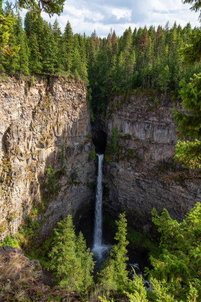 istock Wells Gray Provincial Park 1175355008