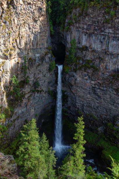 istock Wells Gray Provincial Park 1175355022