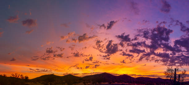 istock Sunrise panorama over the sonoran desert 1175355590