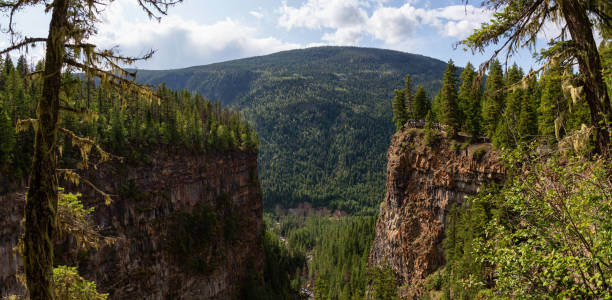 istock Wells Gray Provincial Park 1175355594