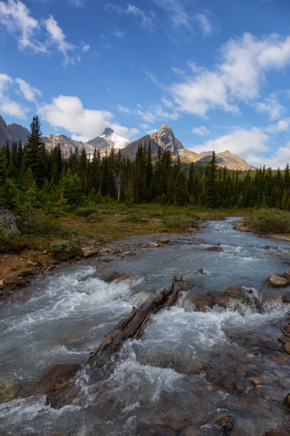 istock Canadian Nature in Jasper National Park 1175355890