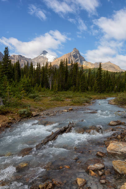 istock Canadian Nature in Jasper National Park 1175355898