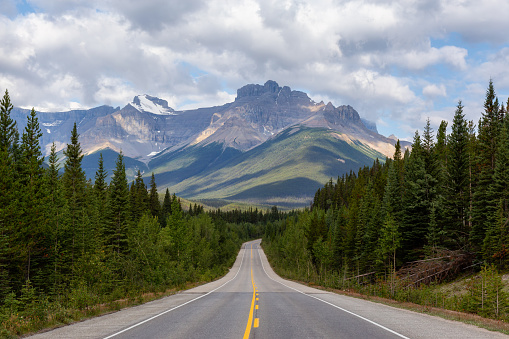 Scenic Empty road in the Canadian Rockies during a vibrant sunny and cloudy summer morning. Taken in Icefields Parkway, Banff National Park, Alberta, Canada.