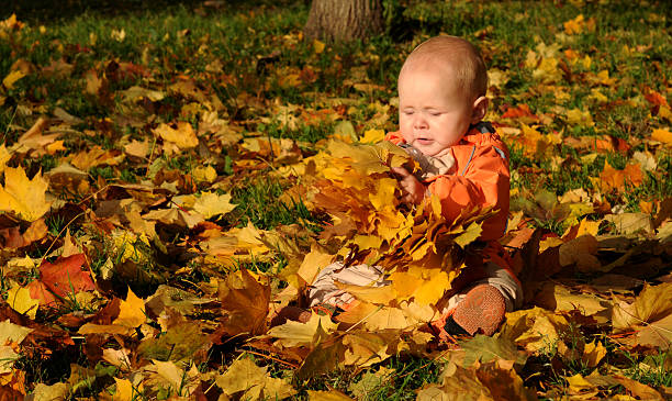 Cute Baby with maple leaves stock photo