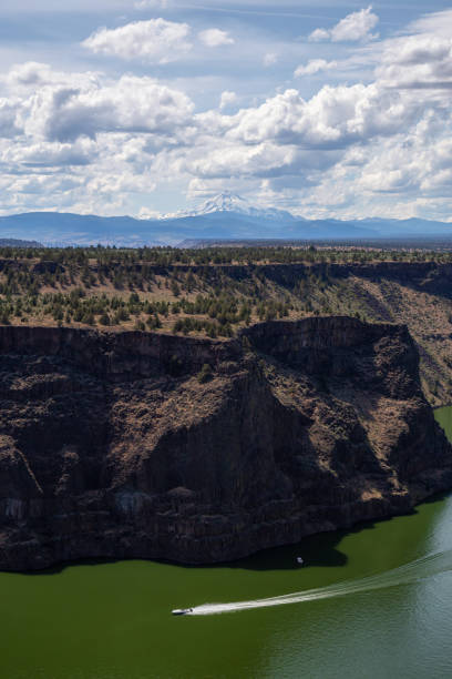 istock The Cove Palisades State Park 1175357450