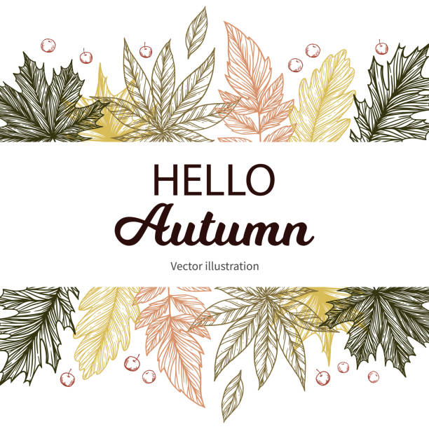Hand drawn vector illustration. Background with Fall leaves. Forest design elements. Hello Autumn! Perfect for seasonal advertisement Hand drawn vector illustration. Background with Fall leaves. Forest design elements. Hello Autumn! Perfect for seasonal advertisement fall weather stock illustrations