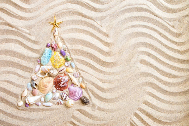 Christmas tree  made from shells and corals on beach sand, flat lay stock photo