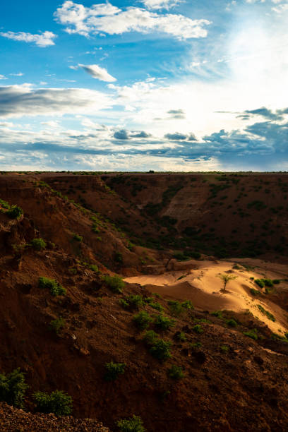 Wide angle and telephoto lenses sol brillando un foco sobre el árbol resistente que crece en una pequeña duna de arena en un barranco sombrío en una meseta saheliana con vegetación refresehd durante la temporada de lluvias de verano a las afueras de niamey capital de níger
