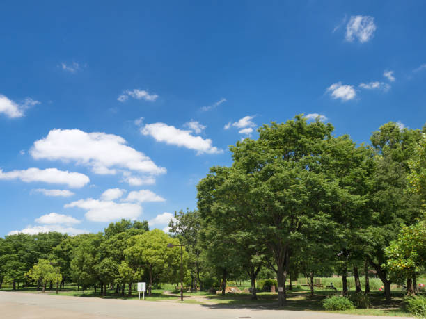 istock Toneri Park in Tokyo 1175376109