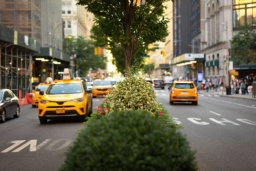 Shot down the middle of Park Avenue. Taxis come and go. New York, NY. USA