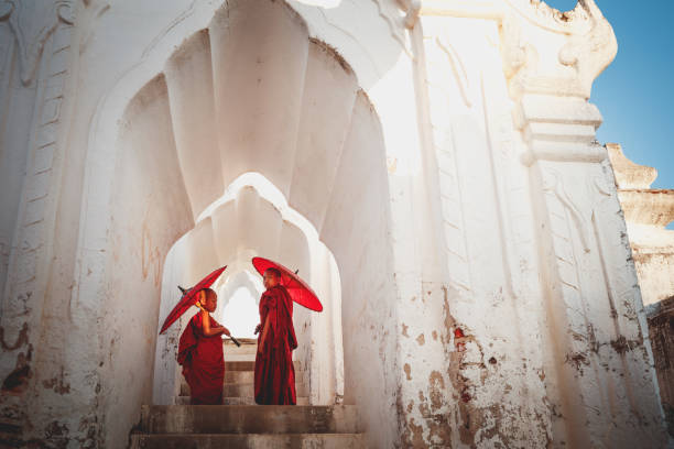 Novices under umbrellas at historic temple