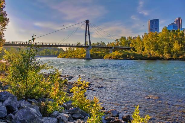 istock Bridge Over Bow River Leading To Downtown 1175378343