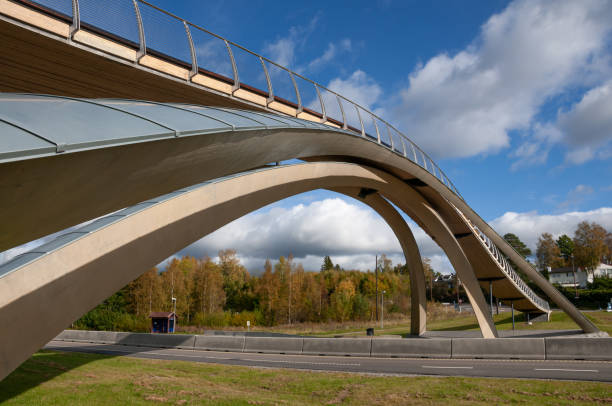 istock Da Vinci bridge in Norway 1175380013