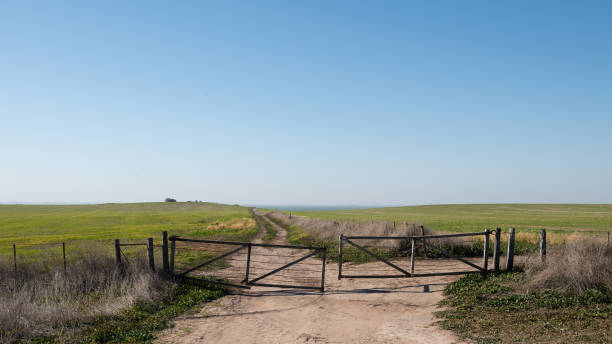 istock A farm gate to the meadow 1175380162