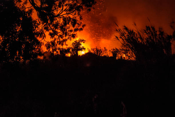 incendio boschivo - arson black bright burning foto e immagini stock