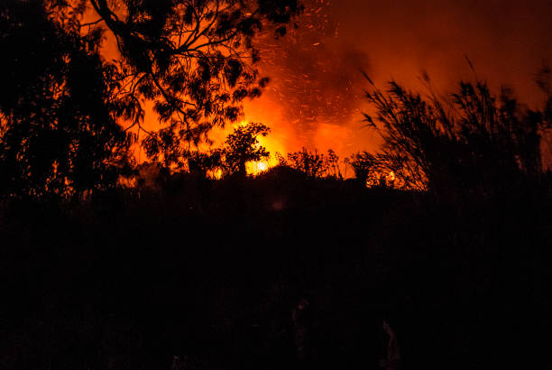 incêndio florestal - arson black bright burning - fotografias e filmes do acervo